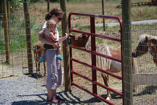 greatcountryfarms_horse.jpg