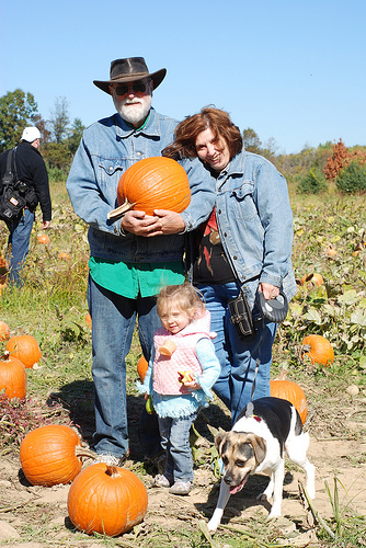 pumpkinpick2008.jpg