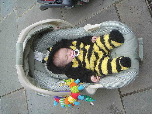 sleepy_bee.jpg